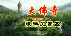 美女嫩逼被中国浙江-新昌大佛寺旅游风景区